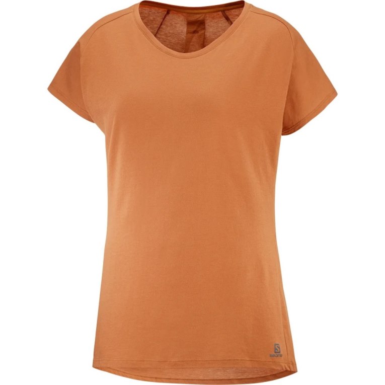 Camiseta Salomon Essential Shaped Corta Sleeve Mujer Marrom | MX XVLD538